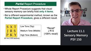150 Lecture 111 Sensory Memory and Playing with Sparklers [upl. by Beverly]