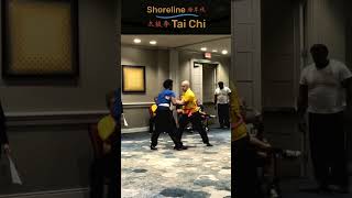 Taiji Push Hands is a Roundabout USKSF 2024 martialarts kungfu taijiquan taichichuan tuishou [upl. by Dettmer]