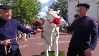 Dorpsfeest Markelo 2018 Grote Optocht [upl. by Coop]