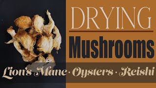 Drying Mushrooms [upl. by Elyrehc]