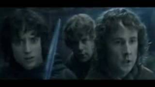 Lord of the Rings  Fellowship of the Vuvuzela Portuguese Subs [upl. by Abbate]