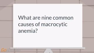 What are the causes of macrocytic anemia [upl. by Tihom]