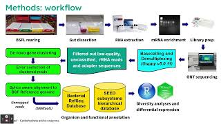 Metatranscriptomic Analysis of the Gut  Eric Gathirwa Kariuki  Poster  ISMBECCB 2023 [upl. by Elidad]