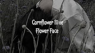 Cornflower Blue  Flower Face  Lyrics Video [upl. by Wj]