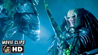 AVP ALIEN VS PREDATOR Clips 2004 [upl. by Frodi]