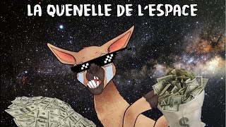 LA QUENELLE DE LESPACE DE LAMA FACHÉ [upl. by Elva615]