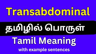 Transabdominal meaning in Tamil Transabdominal தமிழில் பொருள் [upl. by Iain]