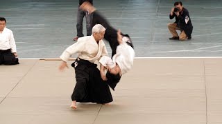 Excellent Aikido Doshu Moriteru Ueshiba  56th All Japan Aikido Demonstration 2018 [upl. by Cissy]