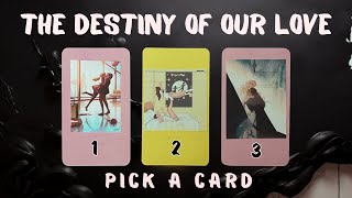 Its DESTINY Between You Two PICK A CARD Tarot Reading [upl. by Kcirrez]