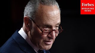 JUST IN Schumer Speaks On Senate Floor After Disastrous Election Night For Democrats [upl. by Hnao]