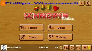 Ich spiele Schnopsn online Kurzer Einblick [upl. by Neal5]