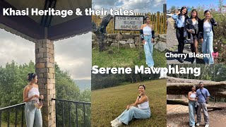 Vlog  Explored Mawphlang Khasi Heritage Village  Sacrect Forest  Got to know so many things 🍀💌 [upl. by Ynatterb]