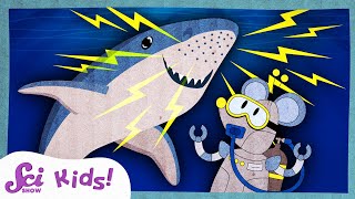 How Sharks Find Food With Electricity  Amazing Animal Senses  SciShow Kids [upl. by Agemo93]