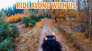 POV Ride along  Relaxed autumn forest ride ASMR [upl. by Eetsim]