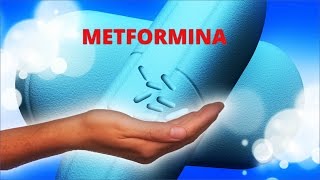 Metformina  Cloridrato de Metformina X Diabetes Tipo 2 [upl. by Ocsinarf]