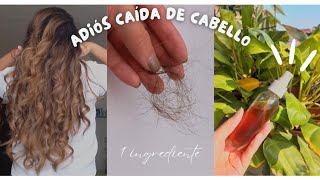 Tónico de hojas de laurel para el cabello ANTICASPAANTIGRASAANTICAÍDA Y CRECIMIENTO [upl. by Sucy]