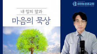 하루 10분 말씀묵상 고린도후서 61113 김정민목사성도의 정체성4 [upl. by Anilac]