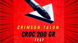 CRIMSON TALON CROC 200 gr Broadhead Test—Amazing Price amp Performance [upl. by Idnac9]