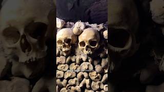 paris catacombs facts scary scarystories [upl. by Jarus281]