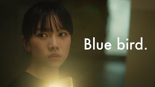 Short Film 파랑새 Blue bird [upl. by Eelyram964]