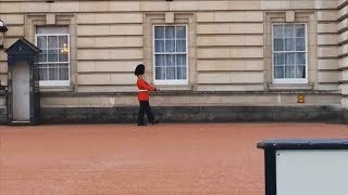 Guardsman in Trouble Over Buckingham Palace Pirouette  Forces TV [upl. by Hildie]