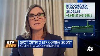 ARK Invest CEO Cathie Wood Hopes are rising that a number of Bitcoin ETFs will be approved [upl. by Fotina]