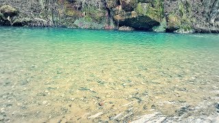 Pecanje Klena  GoPro Fishing  Reka JermaDaiwa Bolognese [upl. by Eliott866]