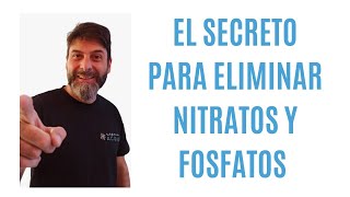 Cómo eliminar nitratos y fosfatos Super fácil [upl. by Ij]