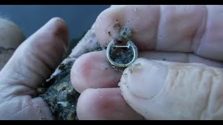 New Mystery Beach Produces Gold and Silver [upl. by Atsirt518]