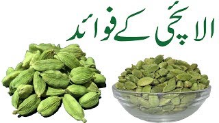 Elaichi khane ke fayde in urdu Green cardamom Health Benefits [upl. by Elleirol973]