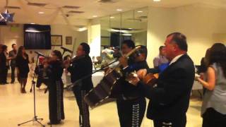 Mariachi Fina Estampa 3232733173 [upl. by Nnylcaj751]