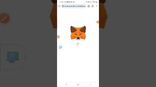 12 Easy Steps To Fix Importing Phrases In Metamask [upl. by Anomar]