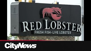 Business Report Red Lobster drowning in red ink [upl. by Ortiz]