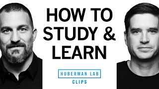 How to Study amp Learn Using Active Recall  Dr Cal Newport amp Dr Andrew Huberman [upl. by Kerrie]