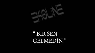 Bir sen gelmedin  Ekoline [upl. by Fusuy]