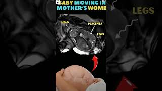 పిండం కదలికలు  Fetal movements ytshorts [upl. by Cassie]