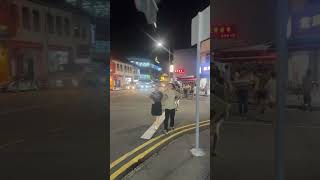 Geylang view reels automobile singaporebus viralvideo travel reel [upl. by Hnahk]