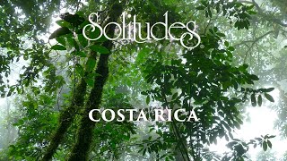 Dan Gibson’s Solitudes  Sanctuary in the Mist  Costa Rica [upl. by Mosra416]