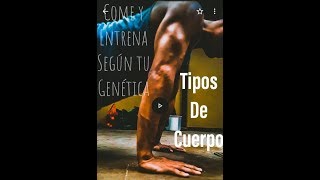 Tipos de CUERPO Ectomorfo Mesomorfo y Endomorfo en HOMBRES Y MUJERES ¿Cómo Entrenarlos [upl. by Fezoj930]