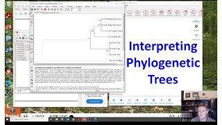 Interpreting phylogenetic trees [upl. by Yuht]