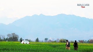 VILLAGE LIFE IN PAKISTAN [upl. by Ethelinda]