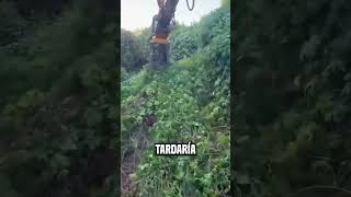 La máquina hizo un trabajo increíble😮mzt shortsvideo [upl. by Aubry]