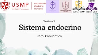 HISTOLOGÍA  SESIÓN 7  SISTEMA ENDOCRINO  Karol Cahuantico  2024 II [upl. by Raseda]