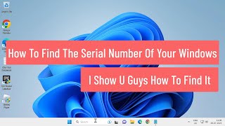 How To Find The Serial Number Of Your Windows PC [upl. by Yde]