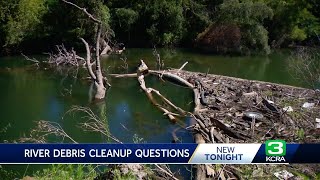 Lodi neighborhood concerned about debris pile in Mokelumne River [upl. by Aneba]