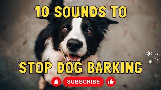 10 sounds to make dog stop barking [upl. by Tugman937]