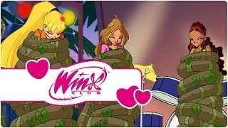 Winx Club  Saison 4 Épisode 18  La nature en colère clip3 [upl. by Nwahsirhc]