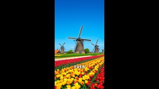 The Fascinating History of Dutch Windmills [upl. by Aicnilav]