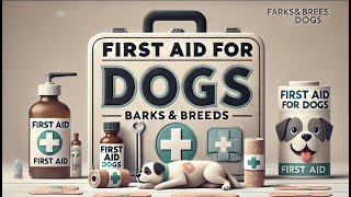 Episode 3 First Aid for Dogs Essential Tips Every Owner Should Know [upl. by Erret]