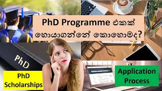 PhD Programme එකක් හොයාගන්නේ කොහොමද How to Find a PhD programme [upl. by Ahsiliw]